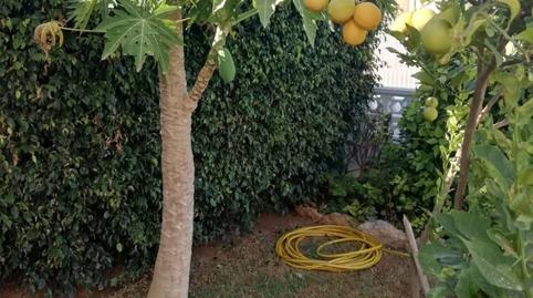 Photo 2 of House or chalet for sale in Almerimar, El Ejido