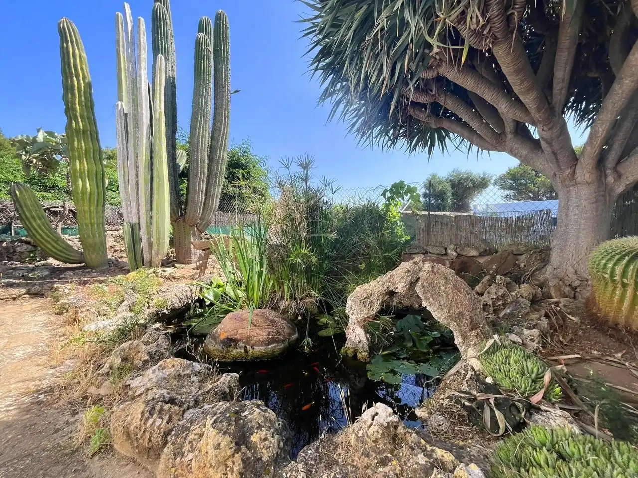 Jardí de Casa o xalet en venda en Ciutadella de Menorca amb Aire condicionat, Jardí privat i Terrassa