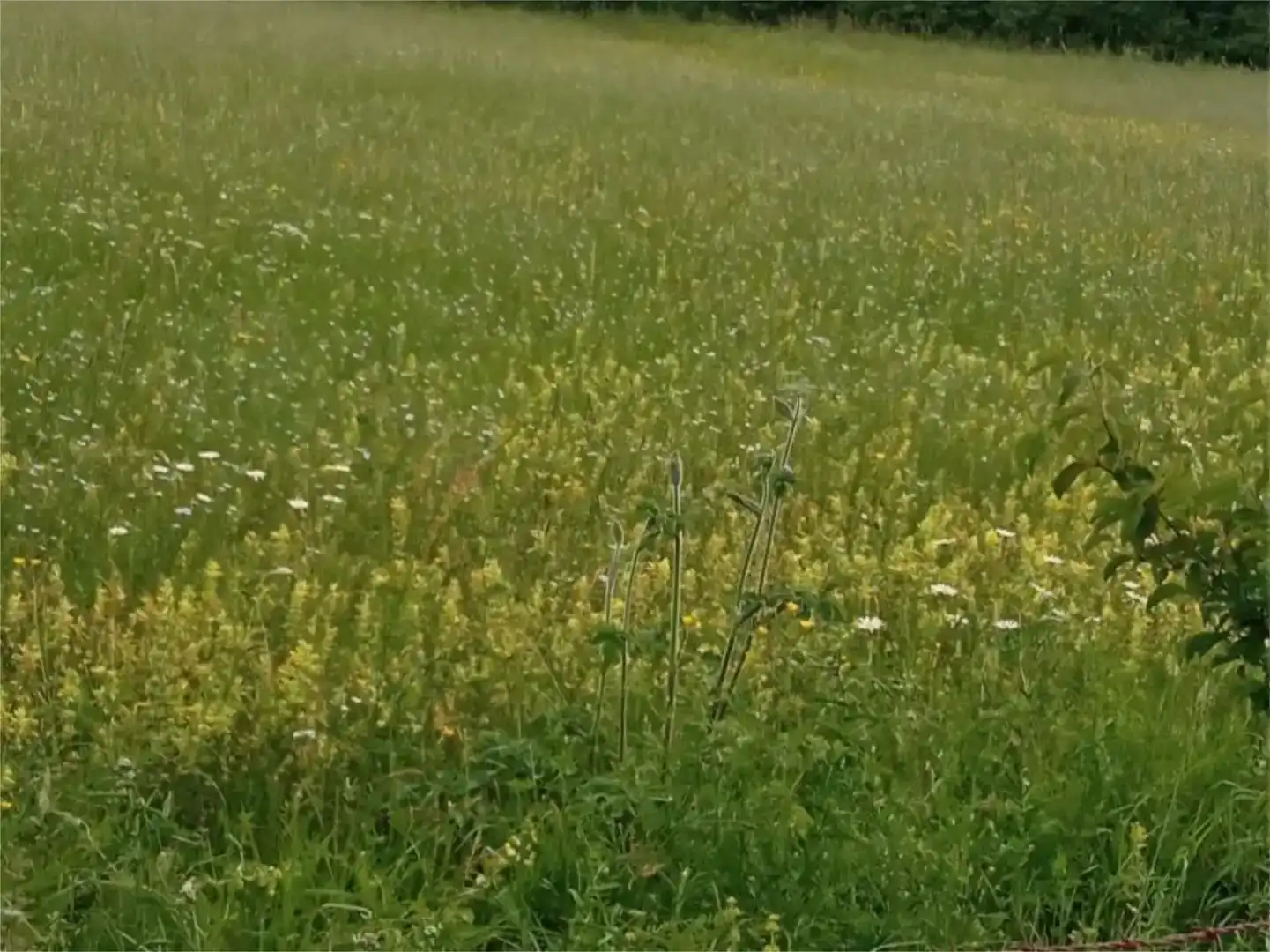 Terreno en venta en Bakaiku, Navarra