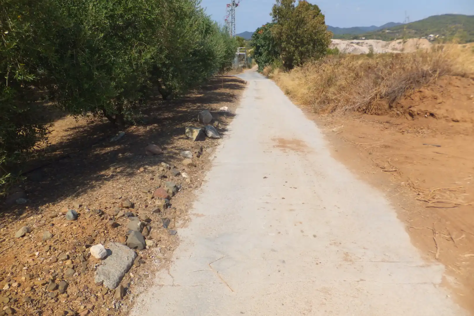 Terreno rústico en venta en Vial Camino, imagen 15
