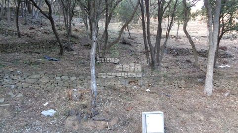 PARCELAS EN ES VALLS, imatge 3