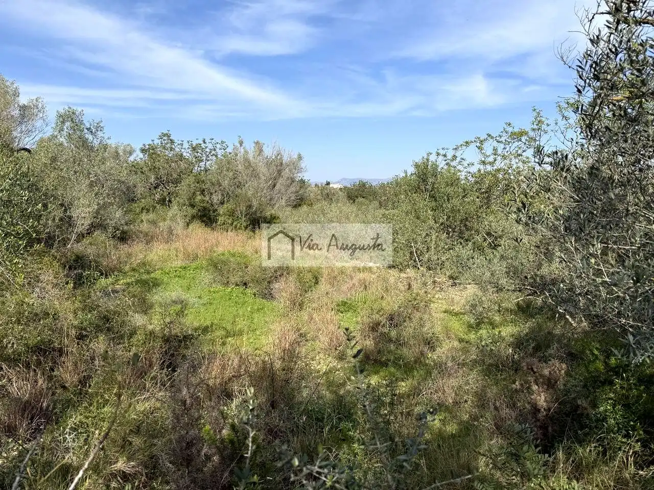 Terreno rustico in vendita a oliveres, imagen 8