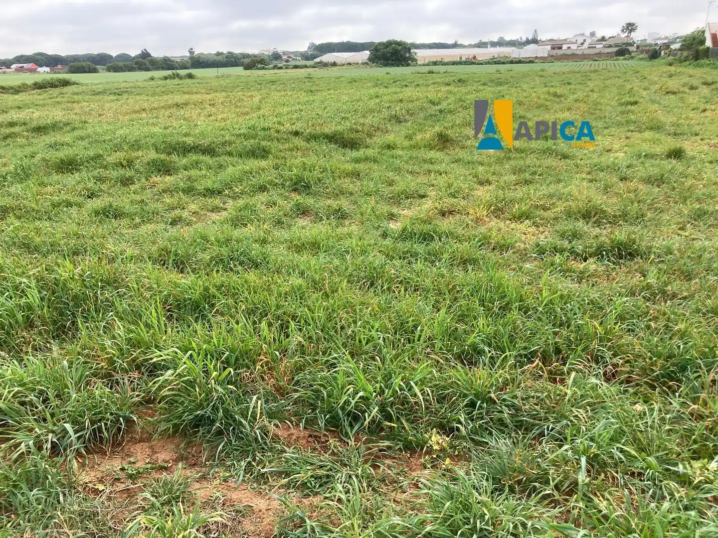 Land for sale in Conil de la Frontera