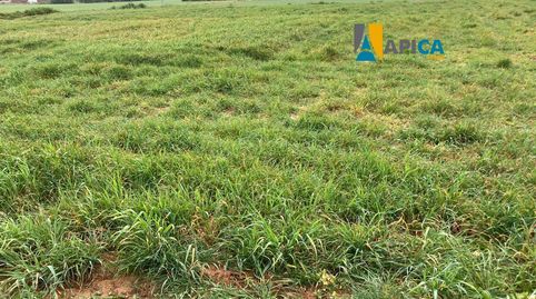 Photo 3 of Land for sale in Roche, Conil de la Frontera