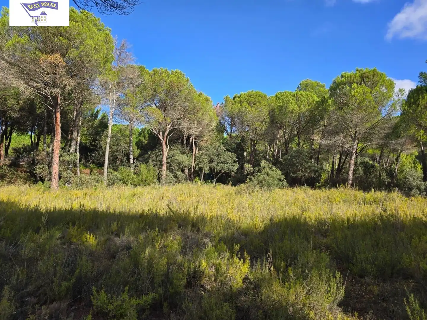 Terreno rustico in vendita a Pedanías - Extrarradio, imagen 6