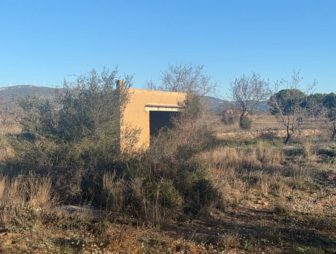 Terrain rustique à vendre à Carrer dels Teixidors, imagen 18