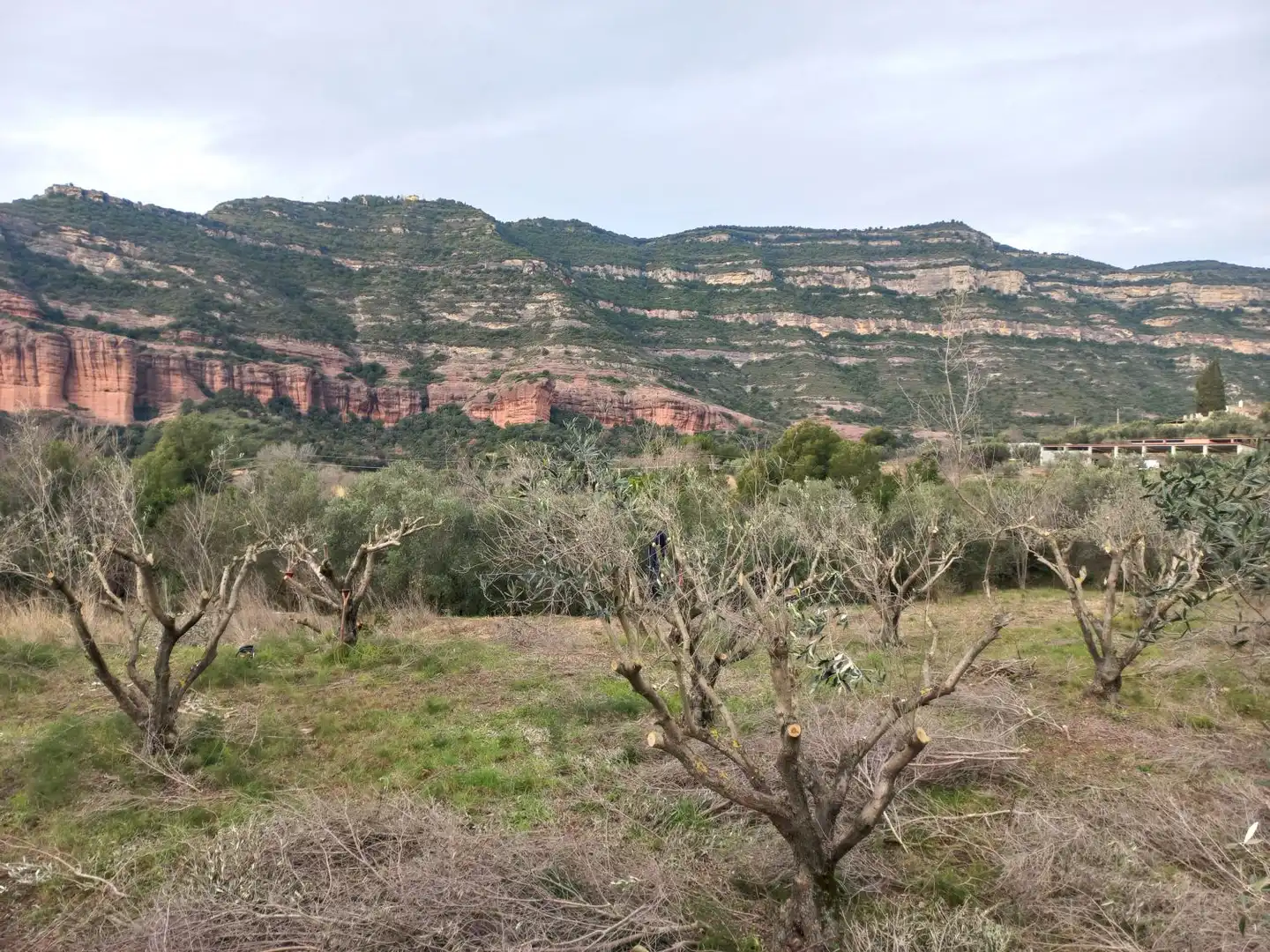 Residencial en venta en Bigues i Riells del Fai