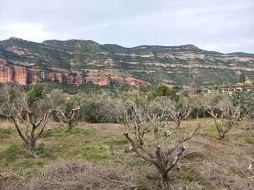 Terrenos y solares en venta en Bigues i Riells del Fai