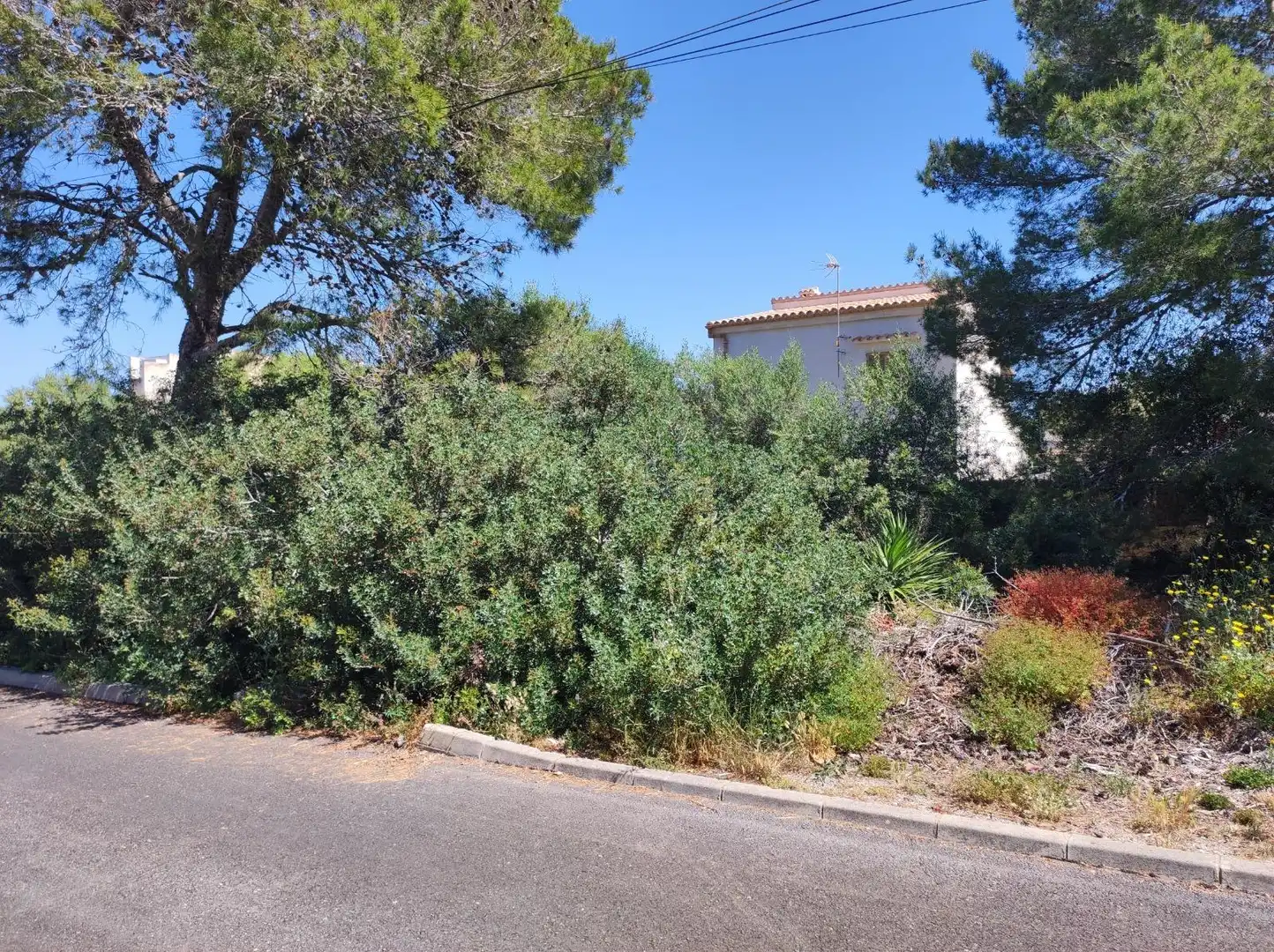 Terreno residenziale in vendita a Font de Sa Cala, imagen 2