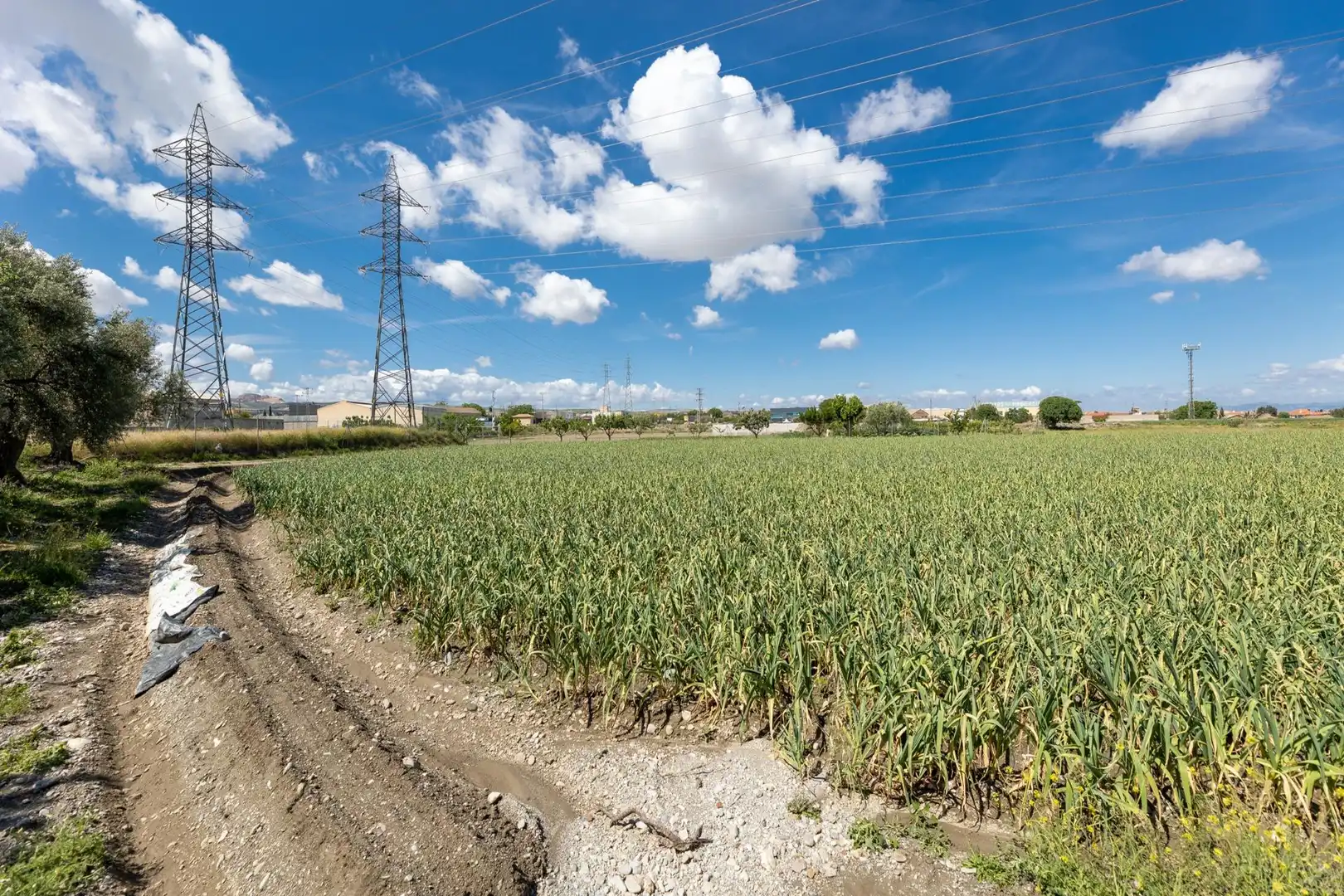 Terreni e lotti in vendita a Ramal del Río, imagen 16