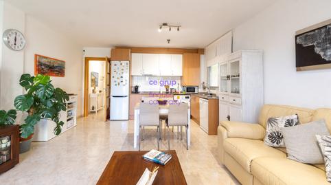 Foto 3 de Planta baixa en venda a Cau del Llop - Super Fener - Fener, Girona