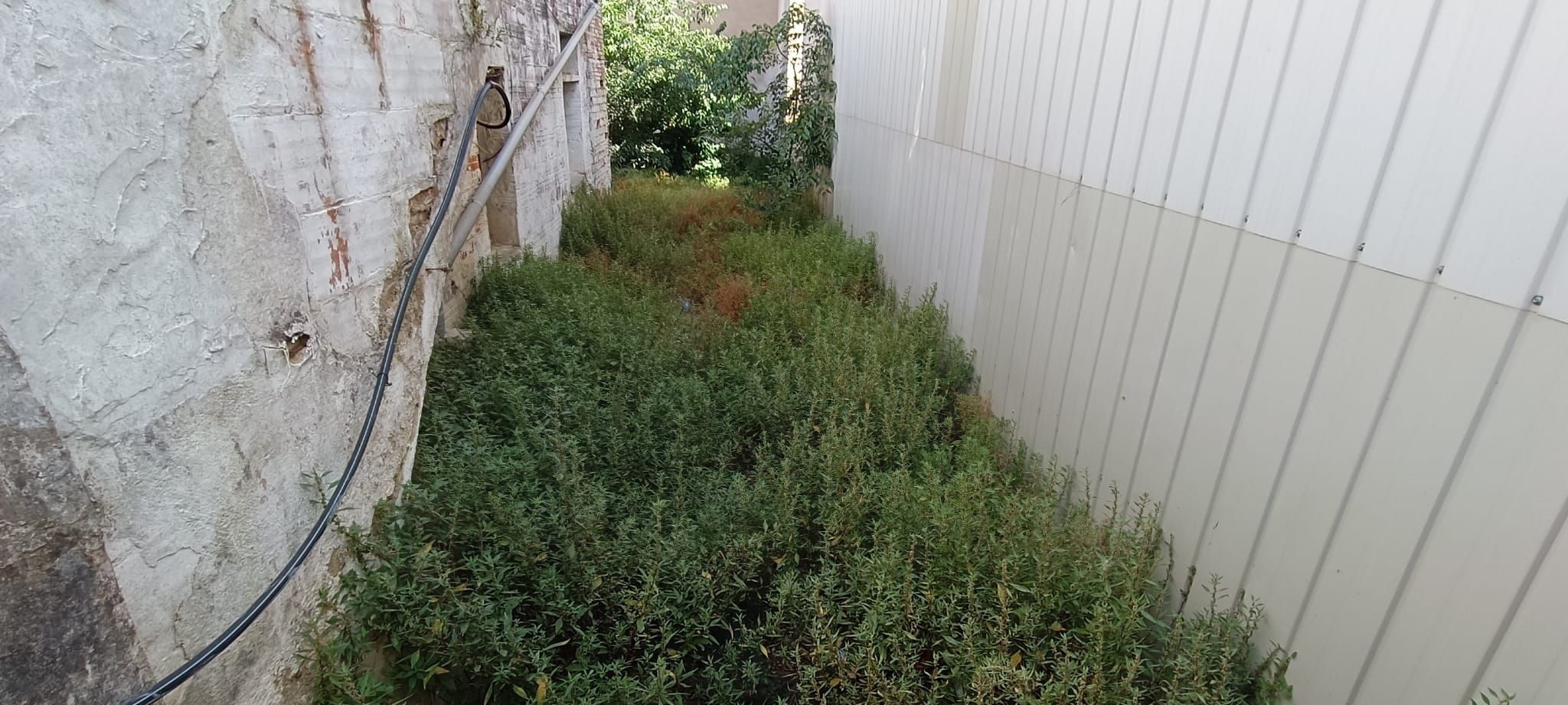 Garden of Single-family semi-detached for sale in Sant Celoni  with Terrace