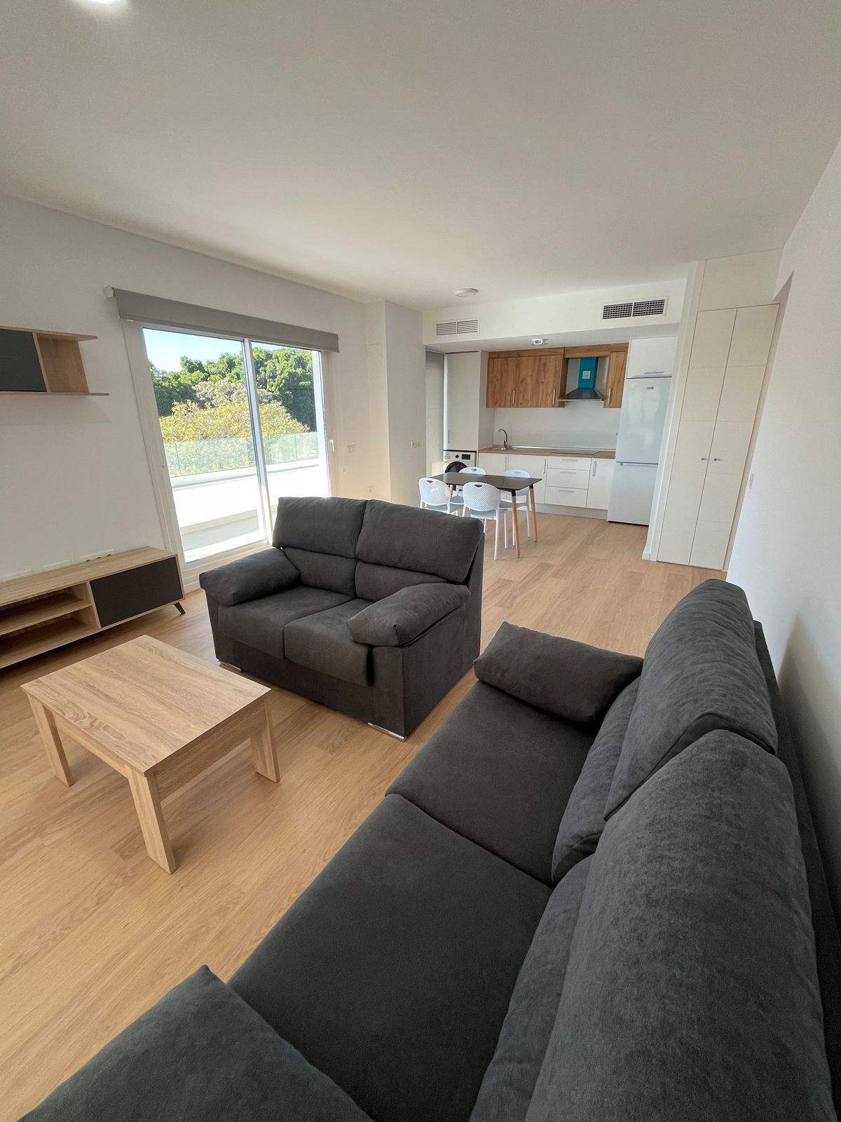 Sala d'estar de Pis de lloguer en Málaga Capital amb Aire condicionat, Calefacció i Terrassa