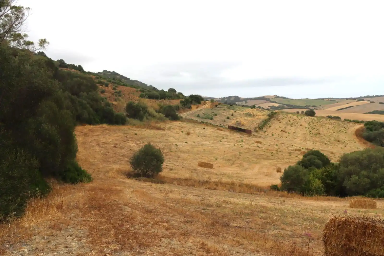 Terreni e lotti in vendita a Vejer, imagen 11