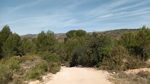 Photo 2 of Residential for sale in Les Alqueries 7 Partida.numero 6 Polígono 6 Parcel, Santa Ana, Valencia