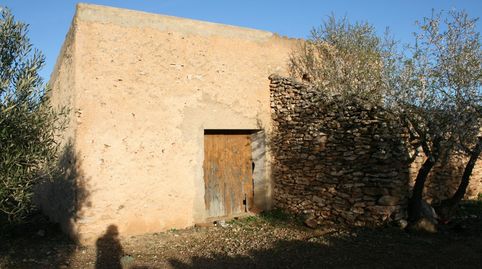 Finca rústica con Masía a reformar y agua corriente cultivo olivos ecológico., image 4