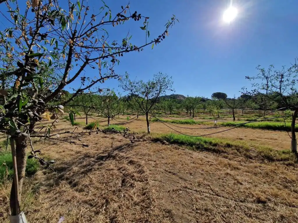 Terreno en venta en Binaced