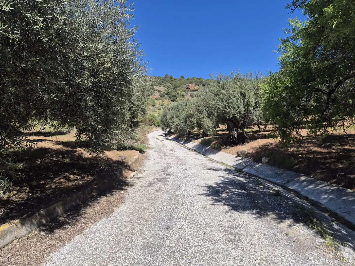 Finca rústica en venda en Monda amb Calefacció, Jardí privat i Terrassa