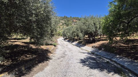 Foto 2 de Finca rústica en venta en Monda, Málaga