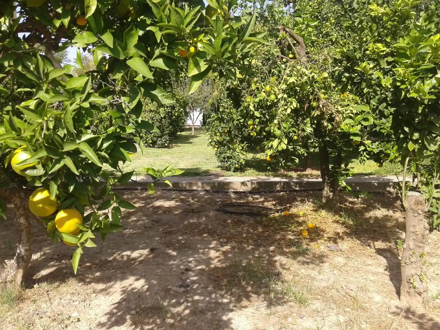 Chalet con jardín en venta en Calle Nueva 2, imagen 15