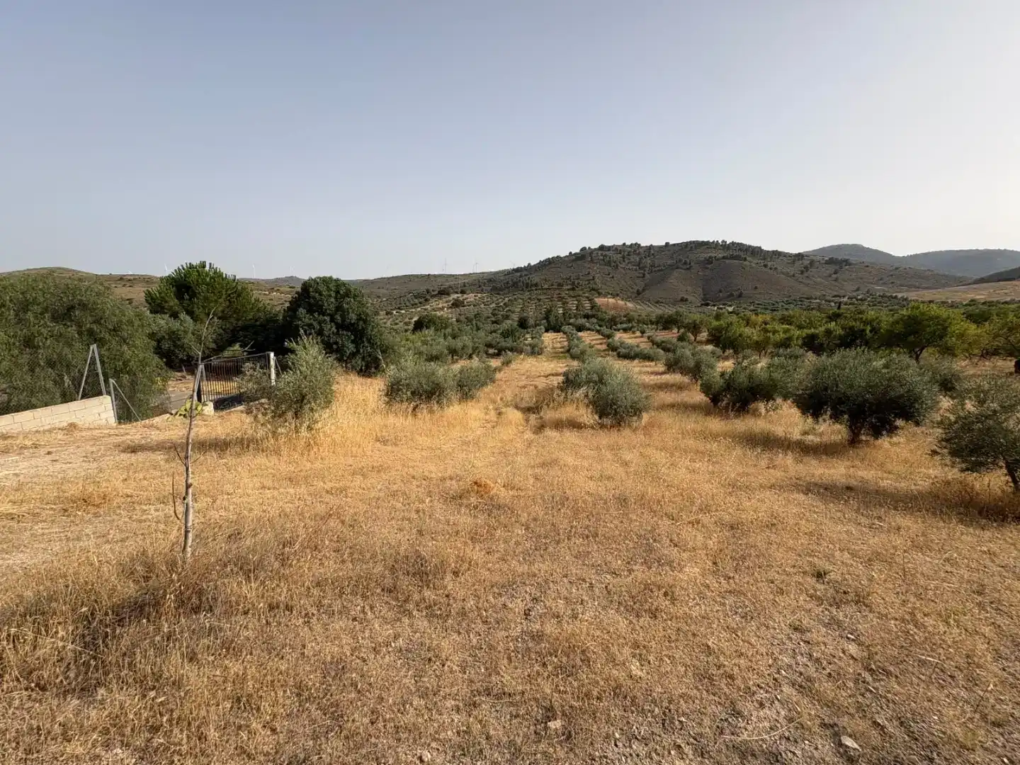 Pis en venda en Padul amb Jardí privat
