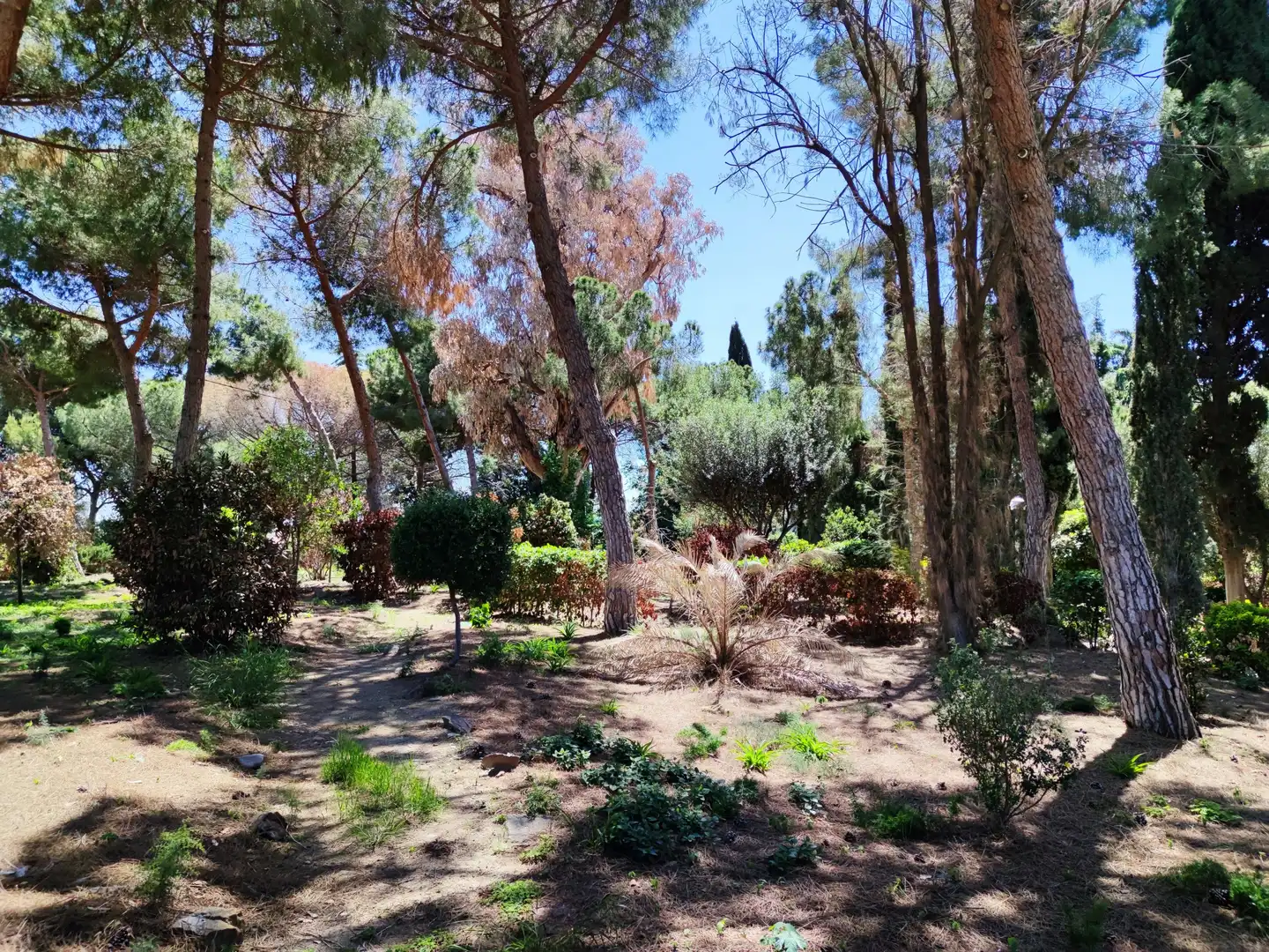 Jardí de Residencial en venda en Mataró