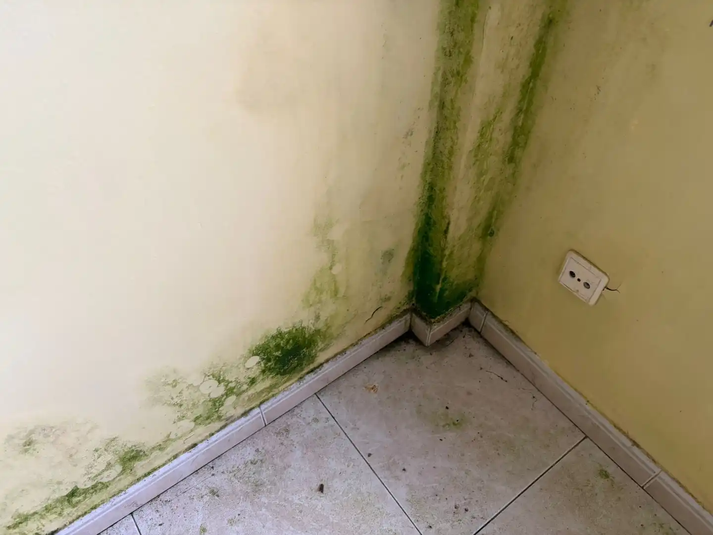 Casa o xalet en venda en Cabana de Bergantiños amb Balcó