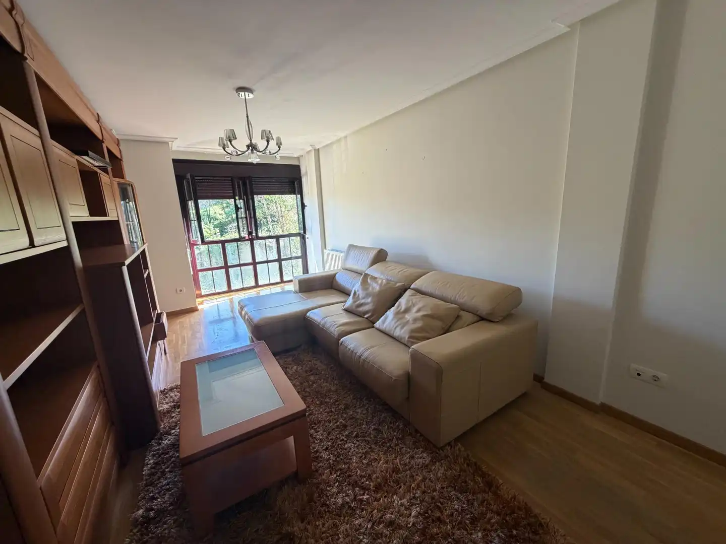 Living room of Flat for rent in Nava, Asturias