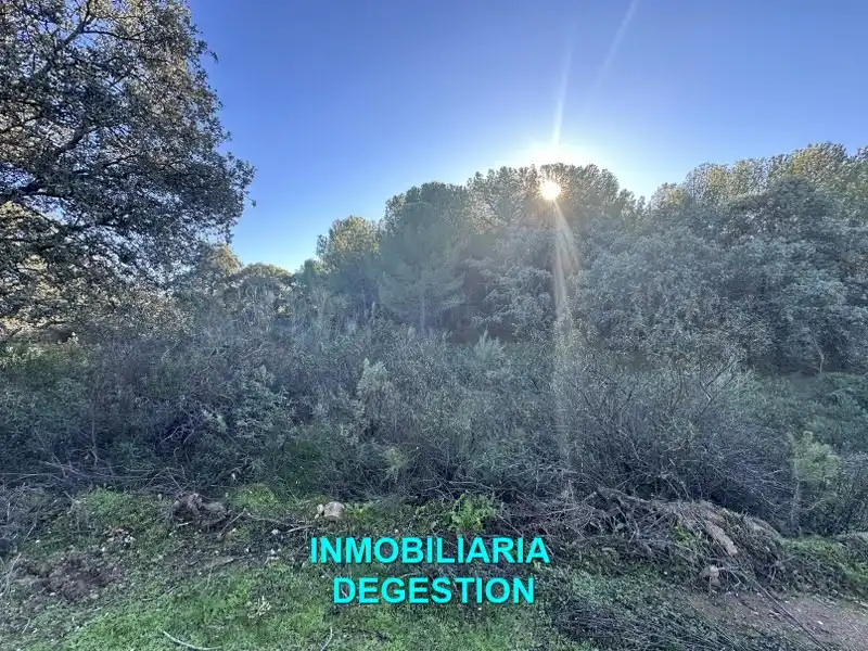 Terreni e lotti in vendita a Andújar, imagen 22