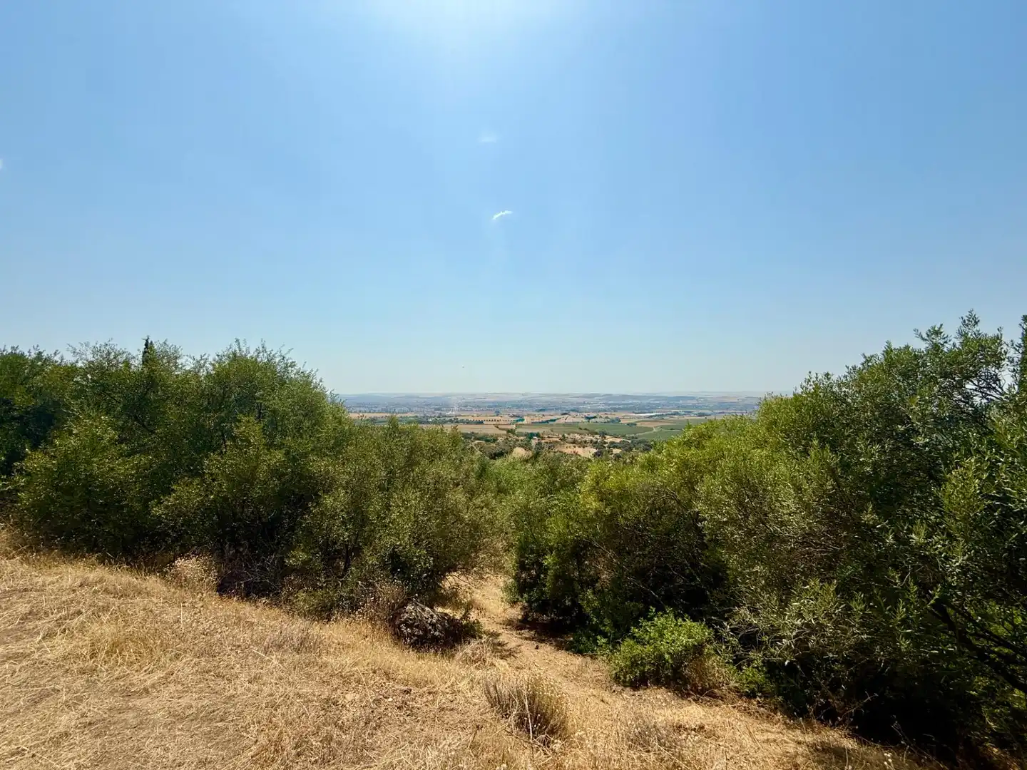 Grundstücke und Bauplätze zum Verkauf in Poniente-Norte - Miralbaida - Parque Azahara