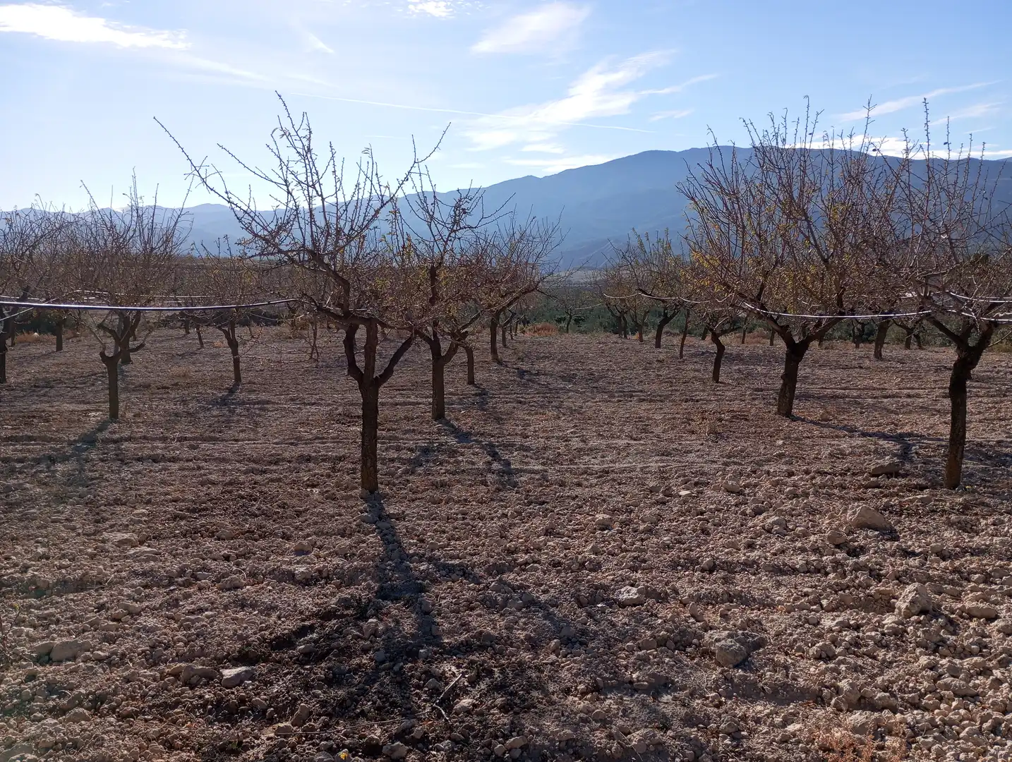 Casa o chalet en venta en Purchena con Amueblado