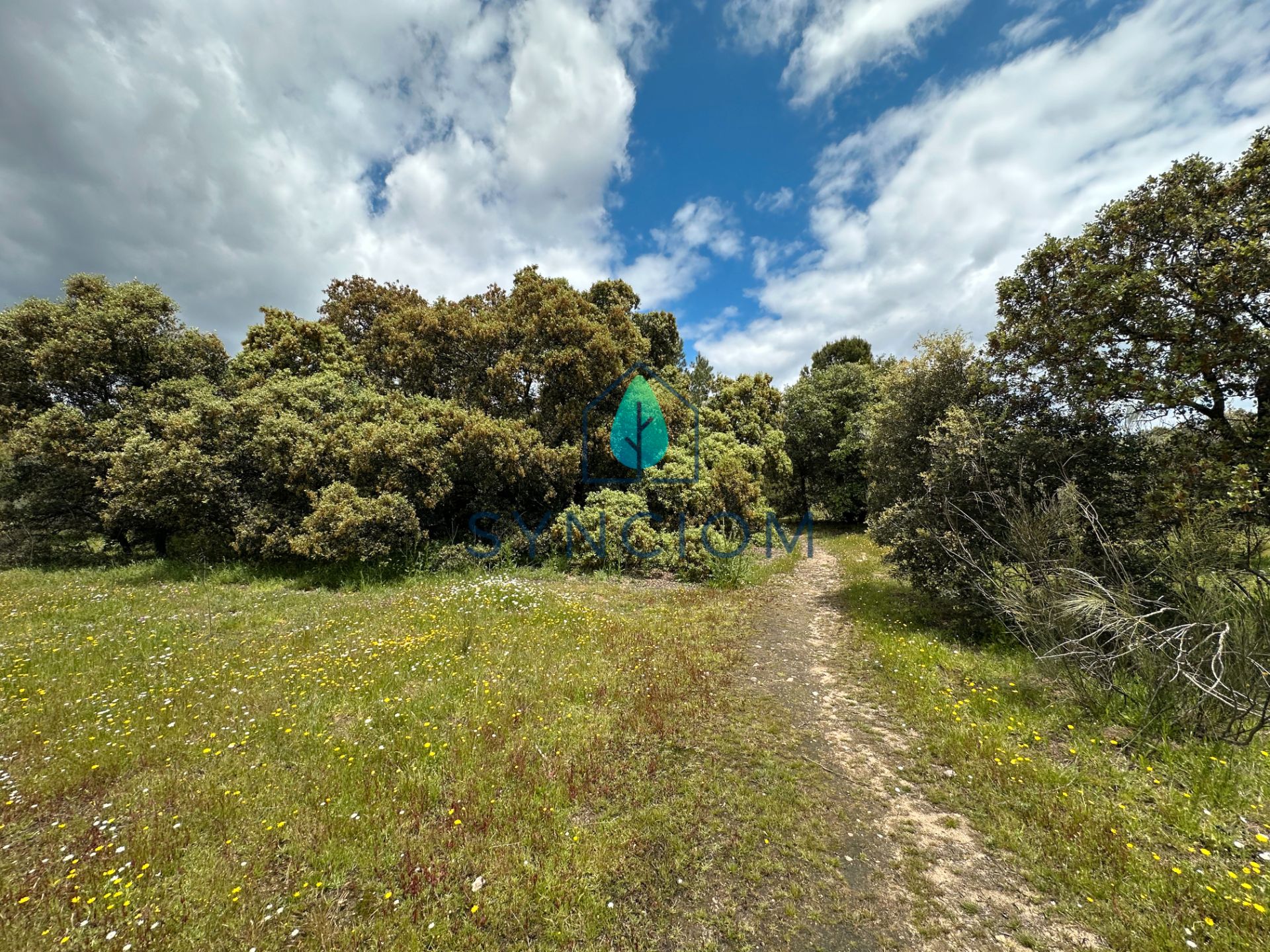 Grundstücke zum verkauf in Avenida de Los Castillos, 1, Cerro Alarcón