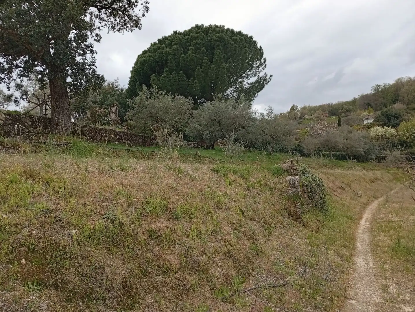 Terreni e lotti in vendita a Villanueva de la Vera, imagen 53