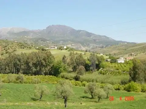 Terreni e lotti in vendita a Avenida de San Roque, imagen 7