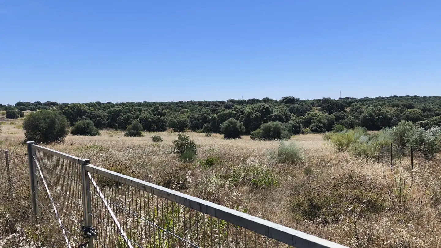 Grundstücke und Bauplätze zum Verkauf in De Los Olivares