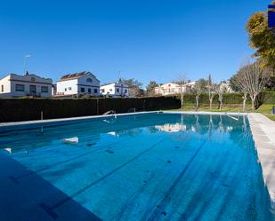 Swimming pool of Single-family semi-detached for sale in Gelves  with Air Conditioner, Private garden and Terrace