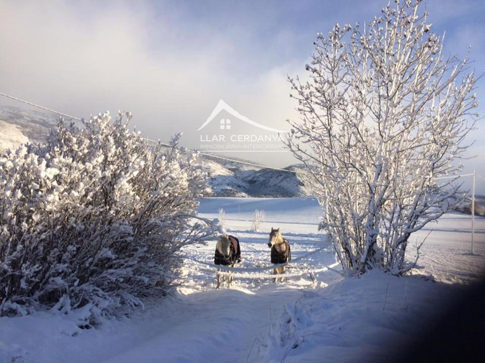Vista exterior de Garatge en venda en Bellver de Cerdanya