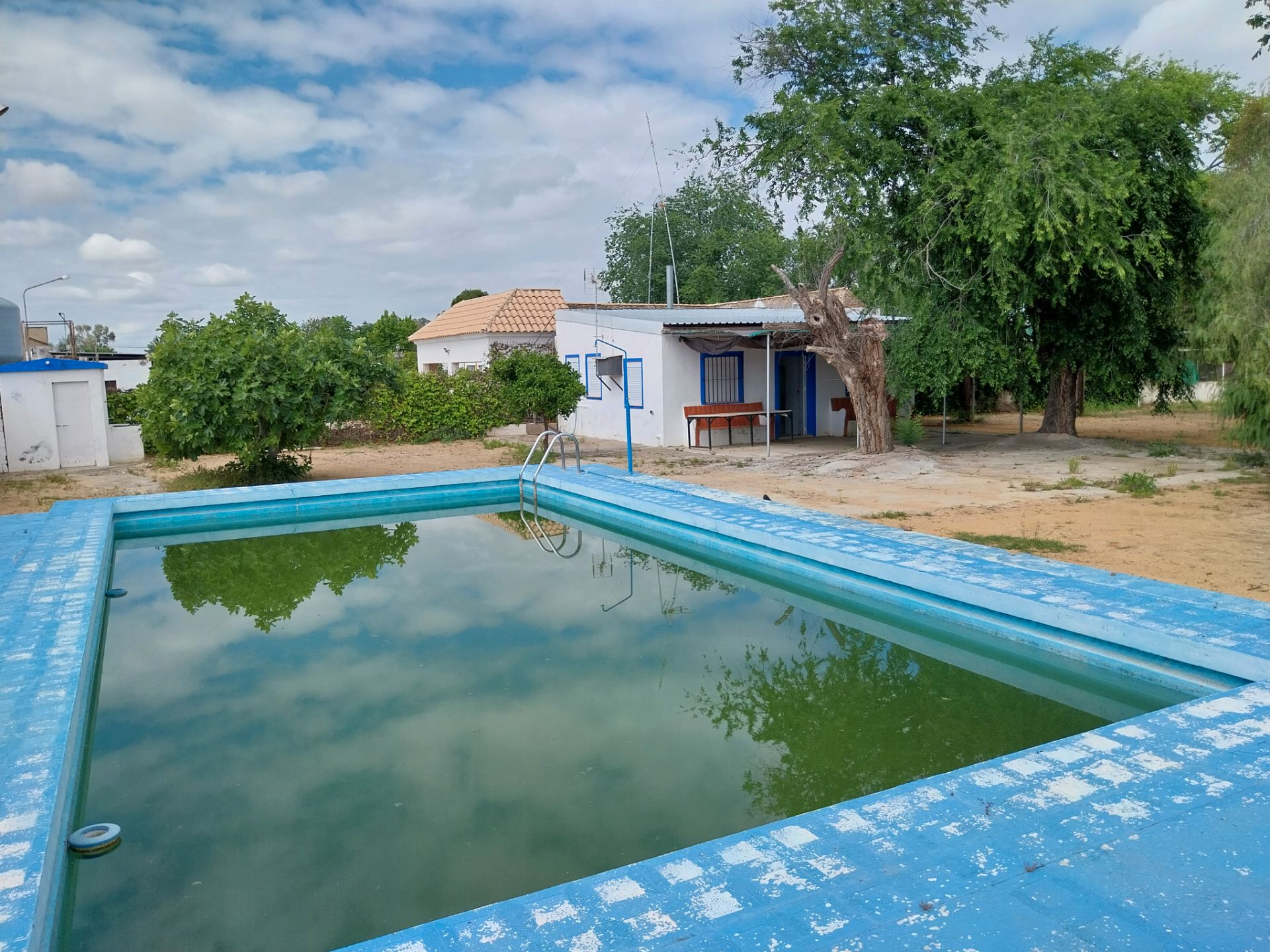 Piscina de Casa o xalet en venda en Marchena amb Jardí privat, Terrassa i Piscina