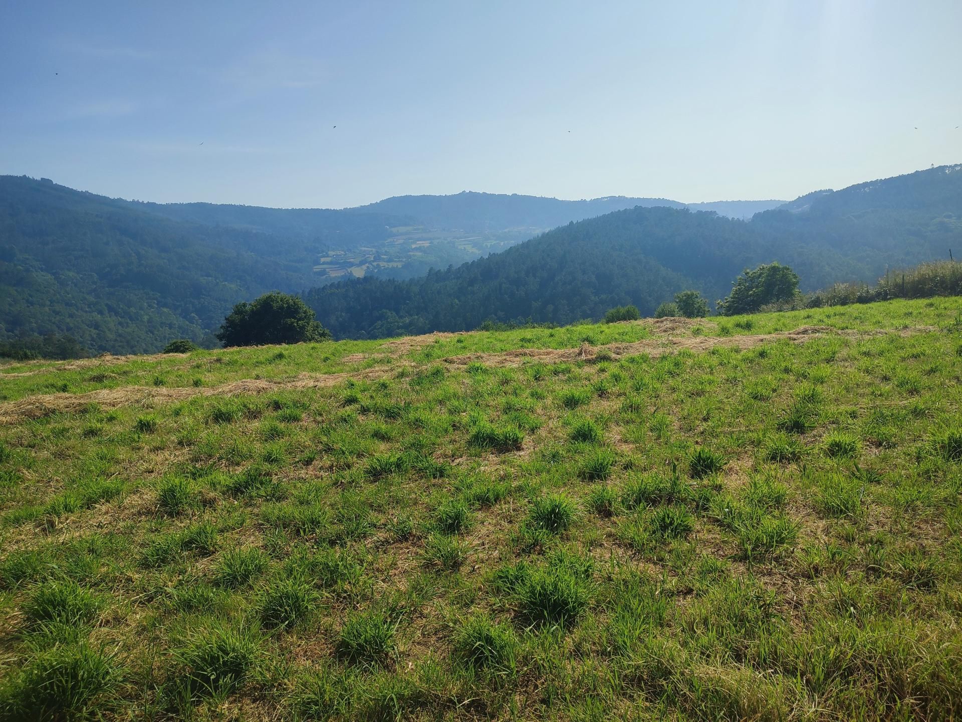 Finca rústica en venda en Vila de Cruces