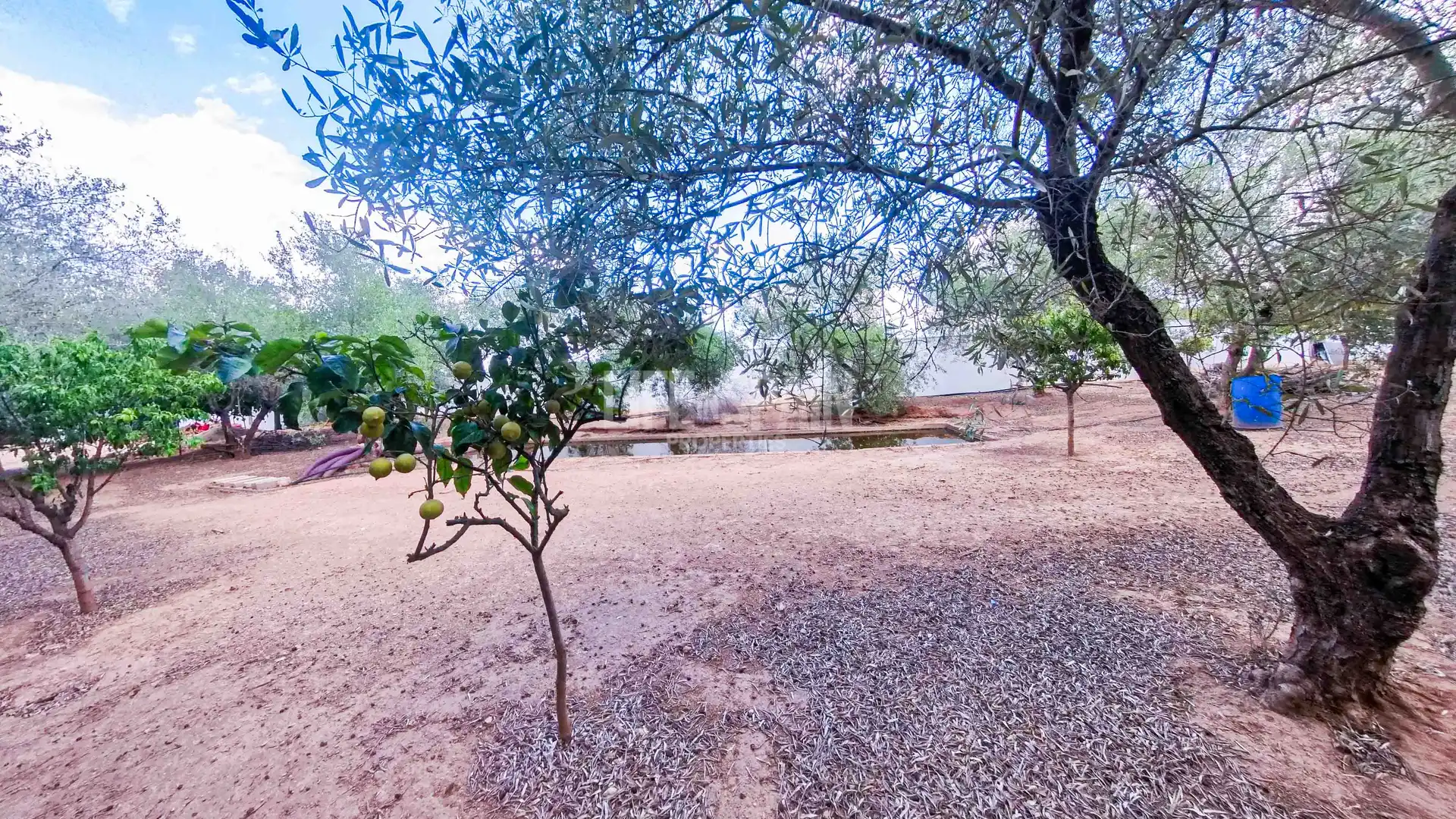 Casa o xalet en venda a Masdenverge