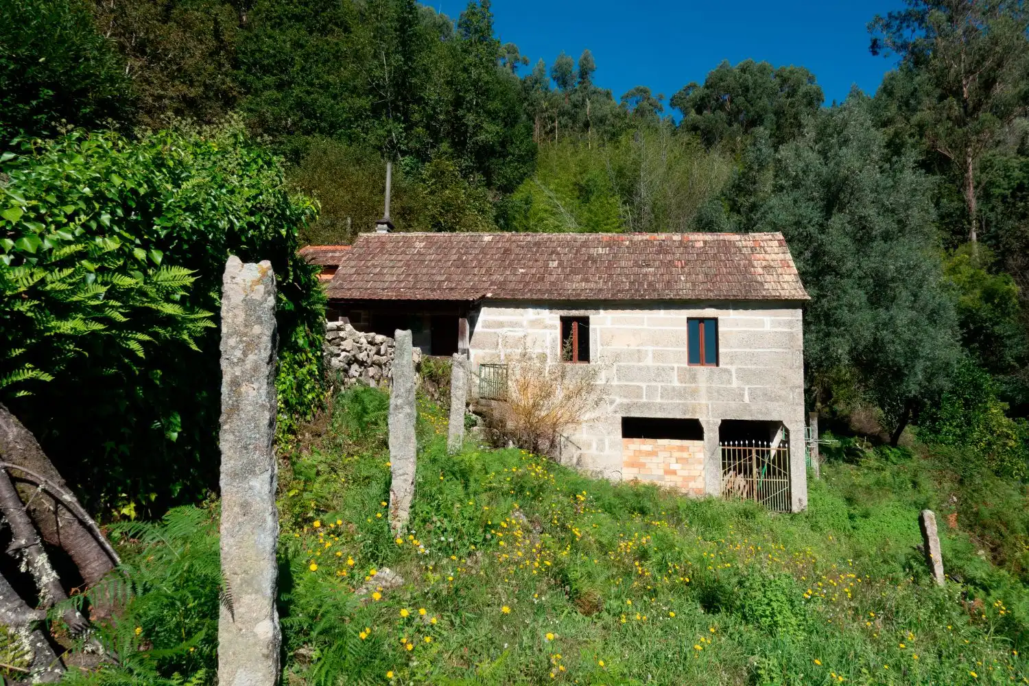 Maison à vendre à Covelo, imagen 16