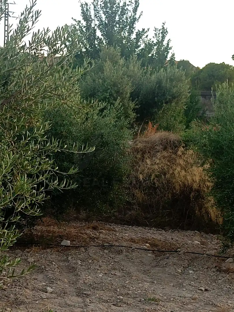 Residencial en venda en Lorca