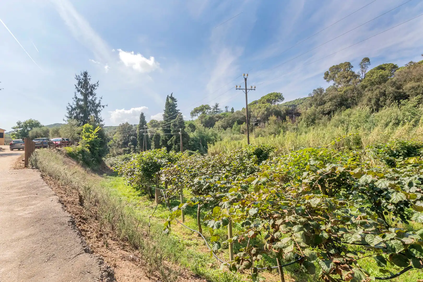 Casa rústica con piscina en venta en Camí Can Cabot de Munt, imagen 74