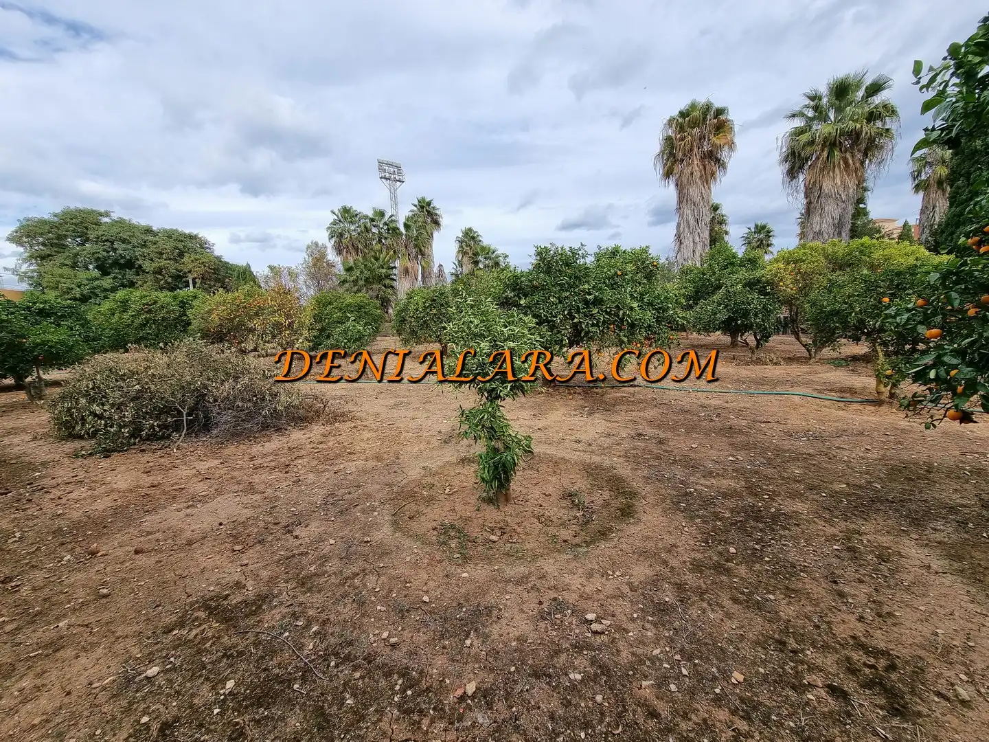 Terreno residenziale in vendita a Las Marinas / Les Marines