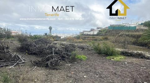 Foto 5 de Residencial de lloguer a La Vega - El Amparo - Cueva del Viento, Icod de los Vinos