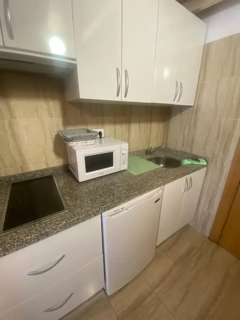 Kitchen of Apartments for rent in Centro