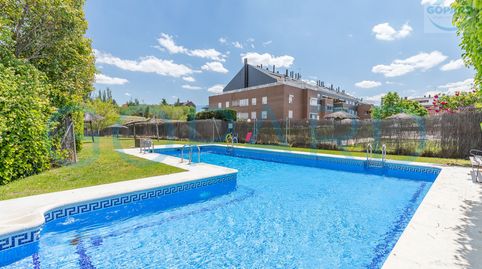 Photo 3 of Duplexes for rent in Golf - El Carralero, Majadahonda