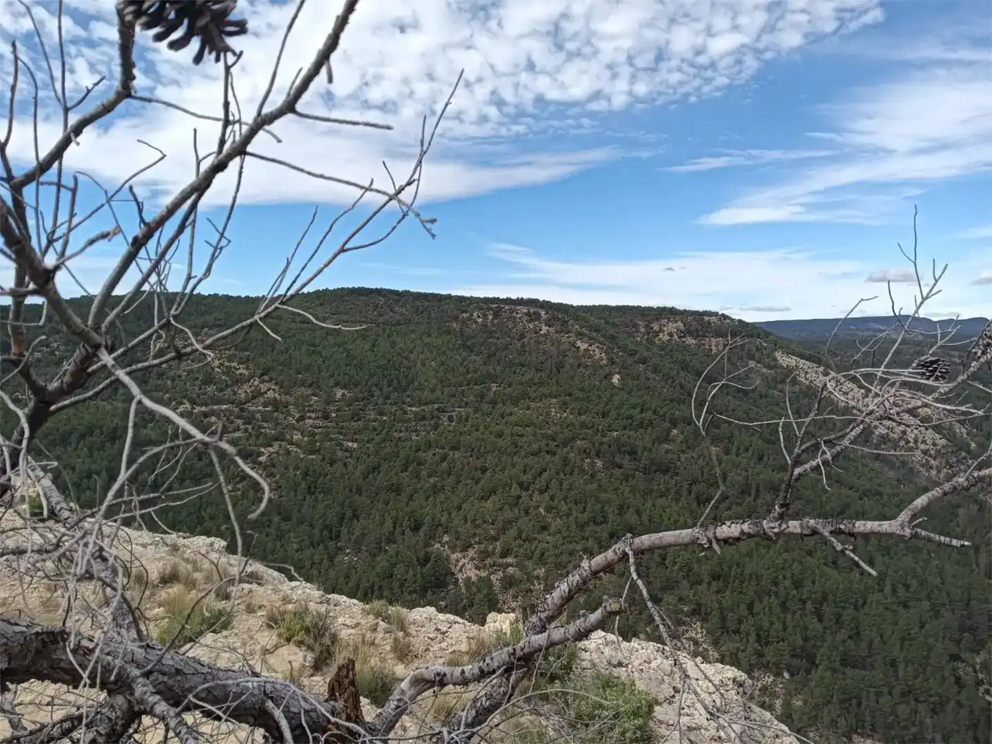 Terreno en venta en Fuentes de Rubielos