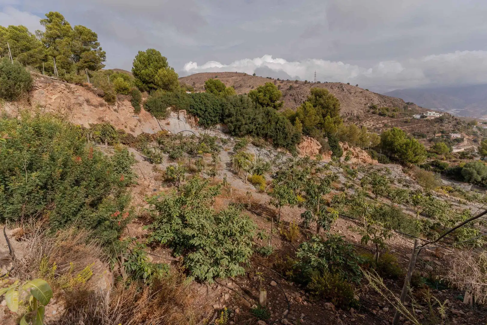 Terreni e lotti in vendita a PHPX+WF Gualchos, Spain, imagen 45