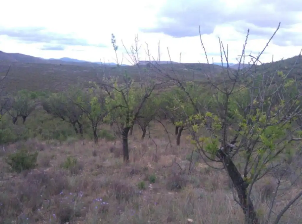 Terreno rustico in vendita a BORBOJON, imagen 7